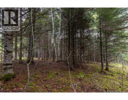 Lot Enterprise Road, Enterprise, NB E7G1M3 Photo 15