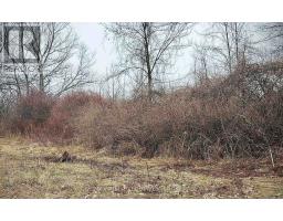 Pt Lt 5 Wyona Lane, Frontenac Islands, ON K0H2Y0 Photo 10