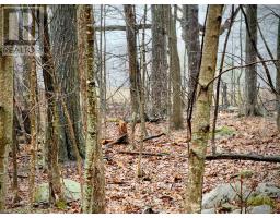 Pt Lt 5 Wyona Lane, Frontenac Islands, ON K0H2Y0 Photo 8