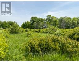 Pt Lt 5 Wyona Lane, Frontenac Islands, ON K0H2Y0 Photo 12