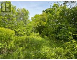 Pt Lt 5 Wyona Lane, Frontenac Islands, ON K0H2Y0 Photo 7