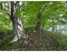Pt Lt 5 Wyona Lane, Frontenac Islands, ON K0H2Y0 Photo 6