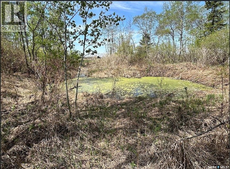 Invermay Acreage - 19