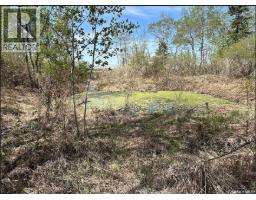 Invermay Acreage, Invermay Rm No  305, SK S0A1M0 Photo 19