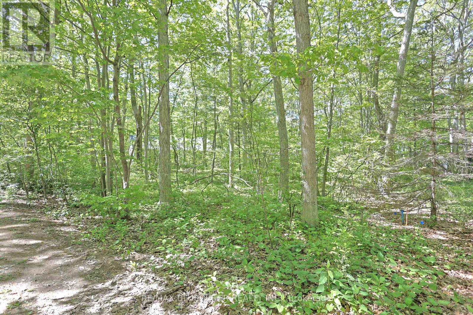 10296 GRAND OAKS DRIVE Property Photo