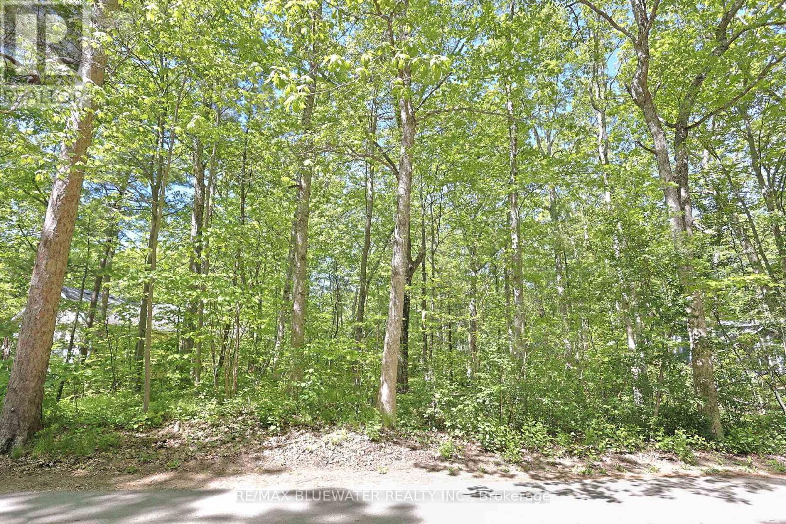 10296 GRAND OAKS DRIVE Property Photo