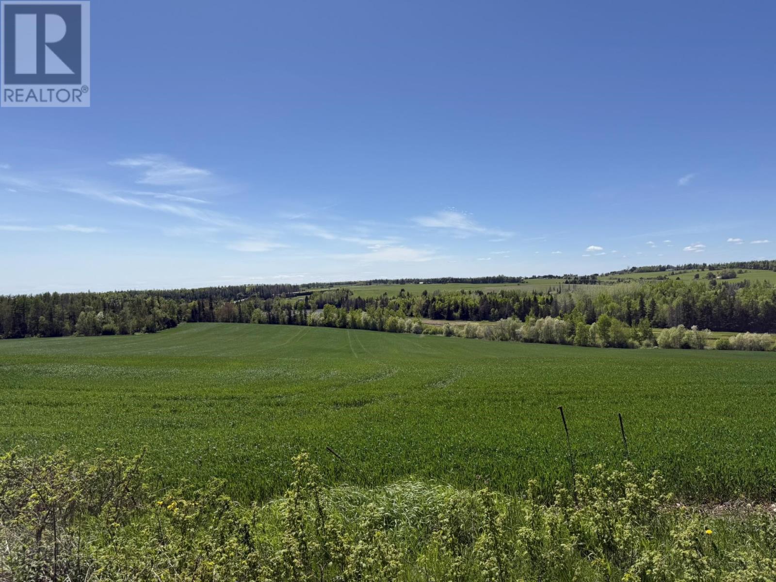Acreage South Melville Road, RTE 246, DeSable — photo 2