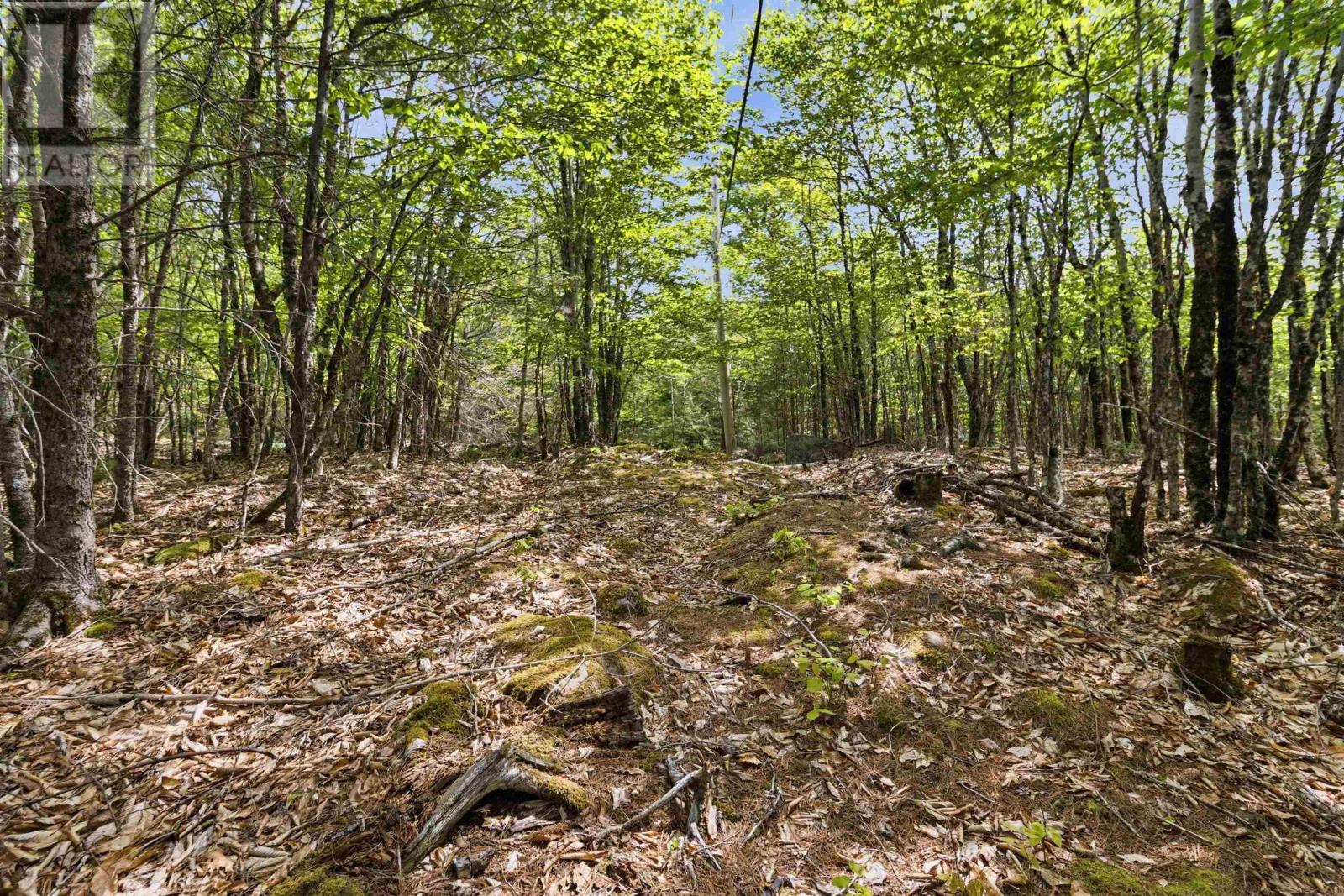 Property 17 of 50 of Lot 30 Maplesue Point Drive