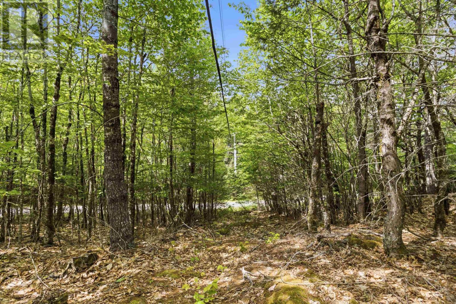 Property 31 of 50 of Lot 30 Maplesue Point Drive