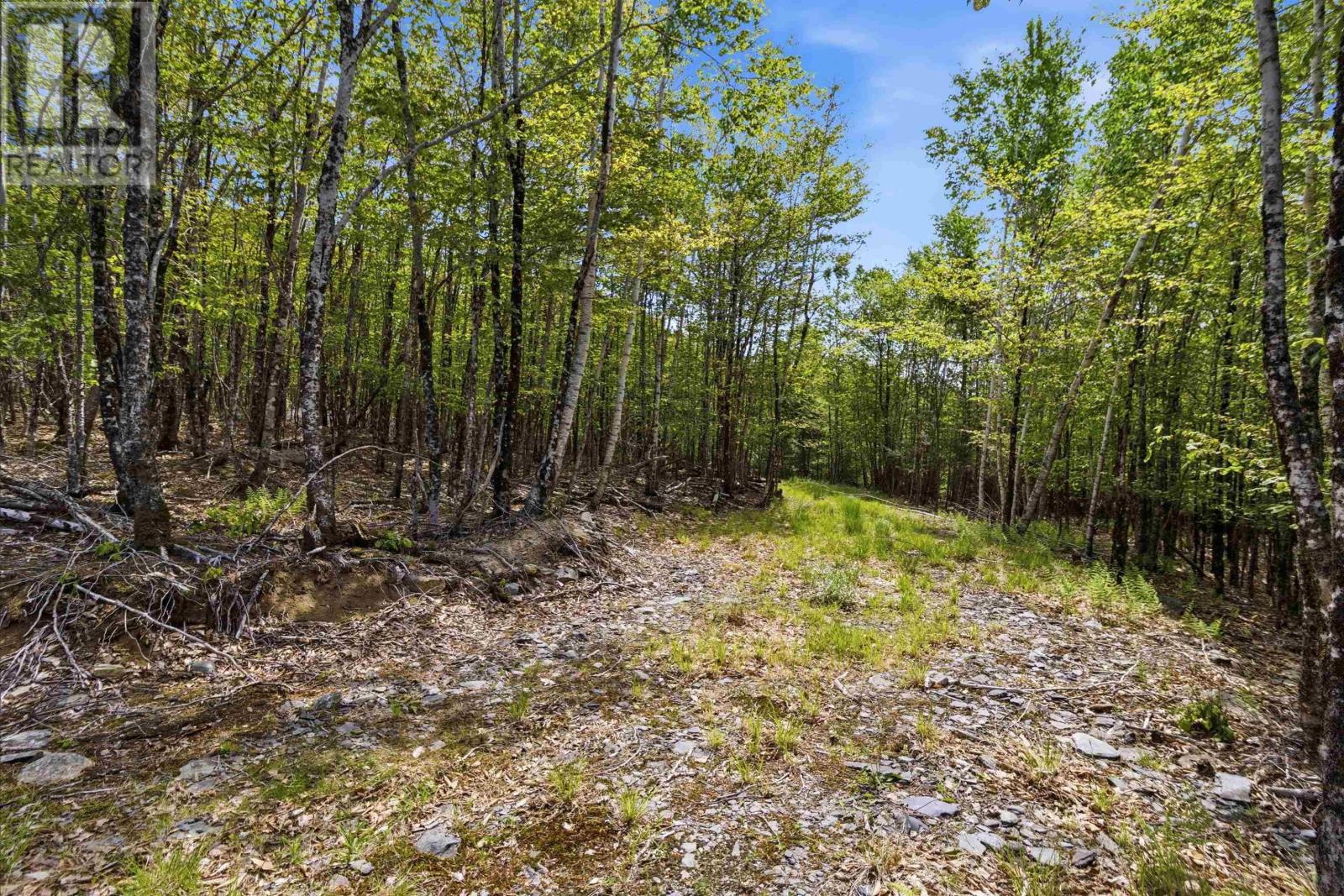 Property 43 of 50 of Lot 30 Maplesue Point Drive