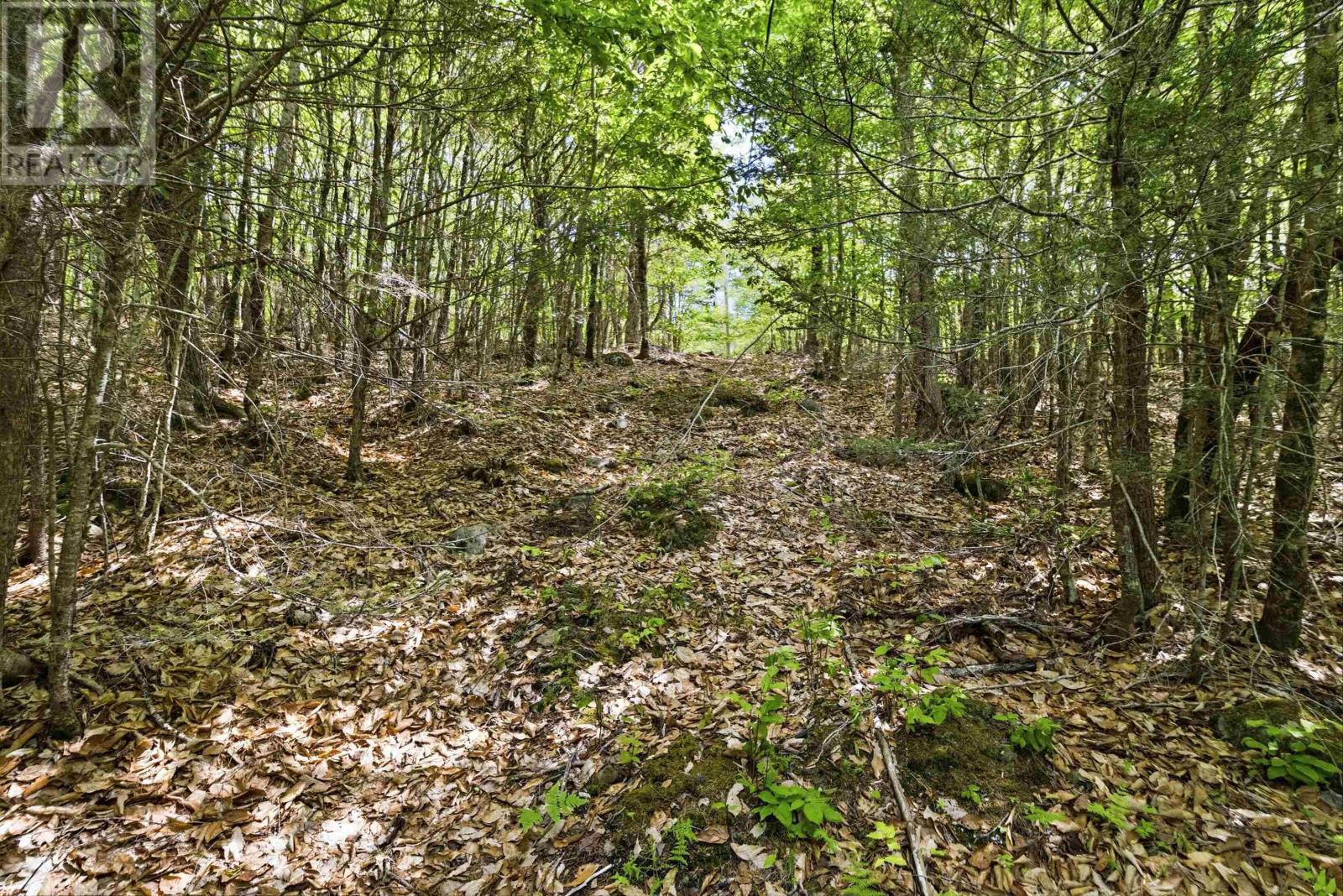 Property 28 of 50 of Lot 30 Maplesue Point Drive