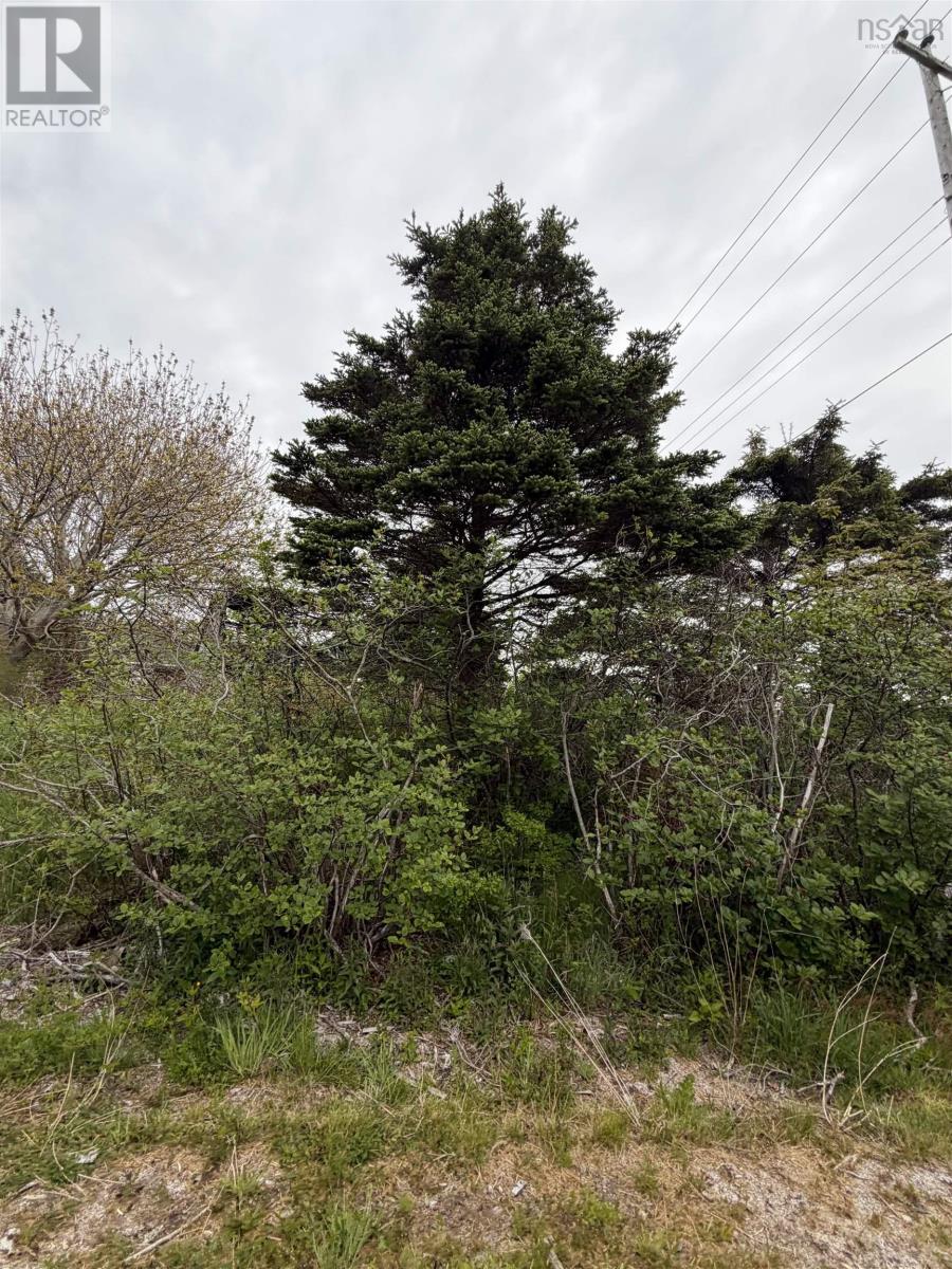 Property photo of 3661 Highway 217