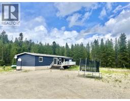 4995 Pitney Road, Valemount, BC V0E2Z0 Photo 13