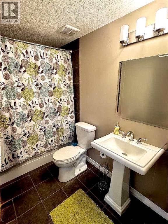Lower Full Bathroom