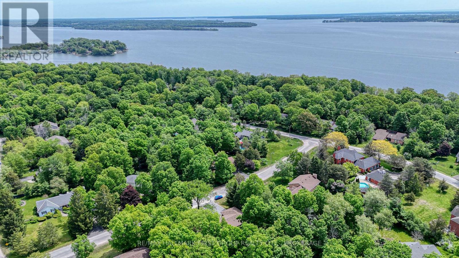6 WILMOT STREET - 50