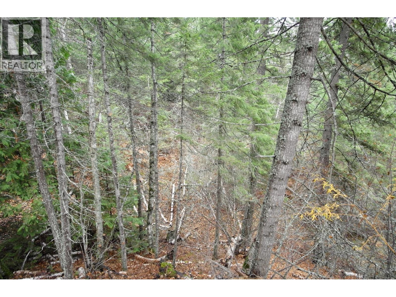 408 GRANDVIEW BENCH Road - 13