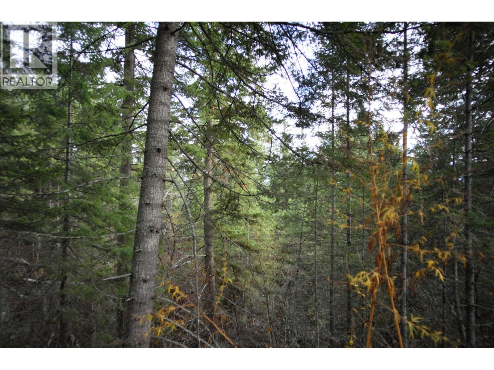 408 GRANDVIEW BENCH Road - 14