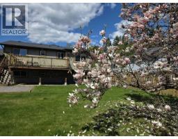 304 5th  Nw Street, Nakusp, BC V0G1R0 Photo 28