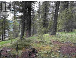 5312 N Machete Lake Road, Bridge Lake, BC V0K1E0 Photo 20