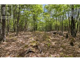 Lot 30 Maplesue Point Drive, Molega, NS B0T1X0 Photo 22