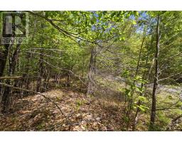 Lot 30 Maplesue Point Drive, Molega, NS B0T1X0 Photo 40