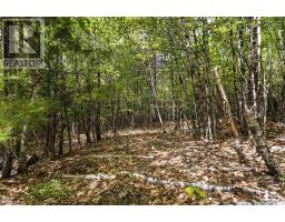 Lot 30 Maplesue Point Drive, Molega, NS B0T1X0 Photo 9