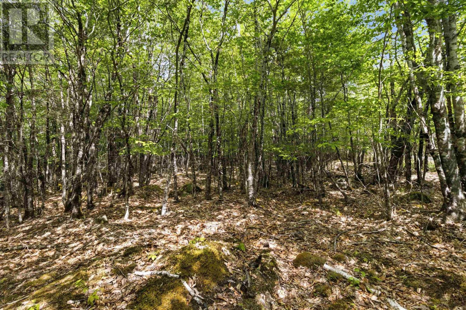 Property 15 of 50 of Lot 30 Maplesue Point Drive