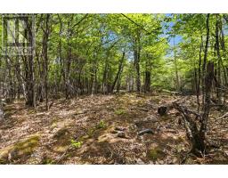 Lot 30 Maplesue Point Drive, Molega, NS B0T1X0 Photo 36