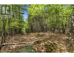 Lot 30 Maplesue Point Drive, Molega, NS B0T1X0 Photo 27