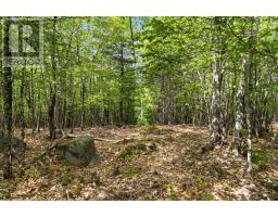 Lot 30 Maplesue Point Drive, Molega, NS B0T1X0 Photo 6
