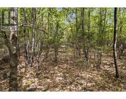 Lot 30 Maplesue Point Drive, Molega, NS B0T1X0 Photo 43