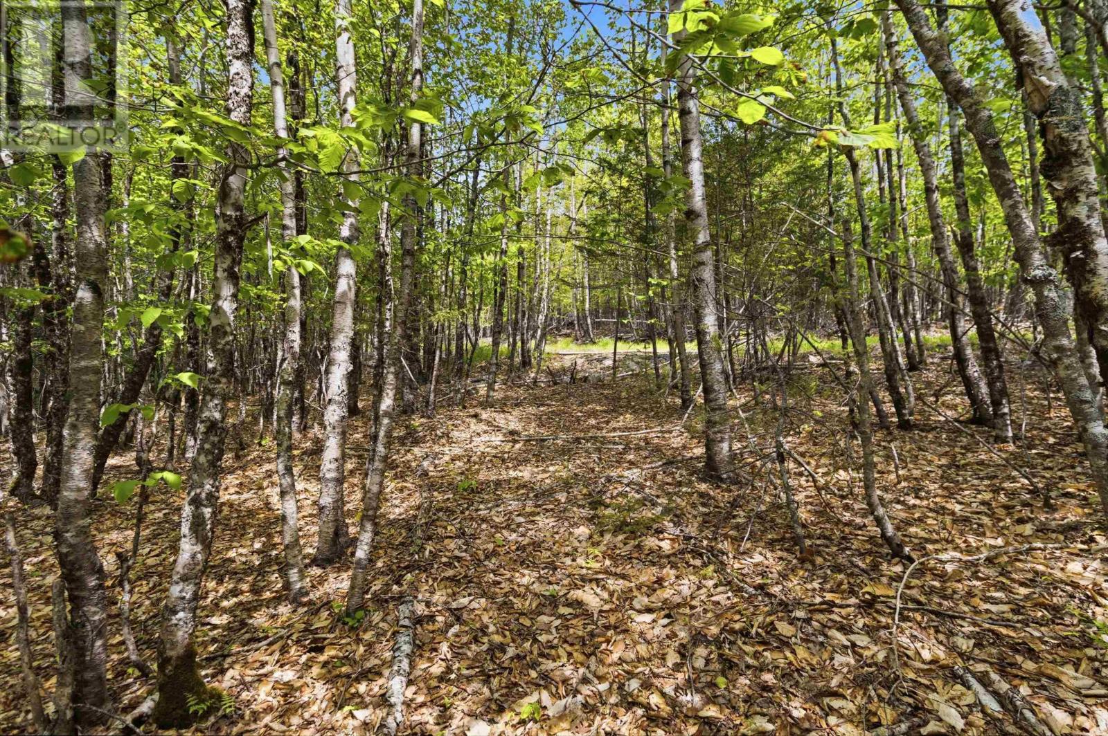 Property 23 of 50 of Lot 30 Maplesue Point Drive