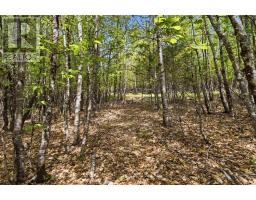 Lot 30 Maplesue Point Drive, Molega, NS B0T1X0 Photo 11