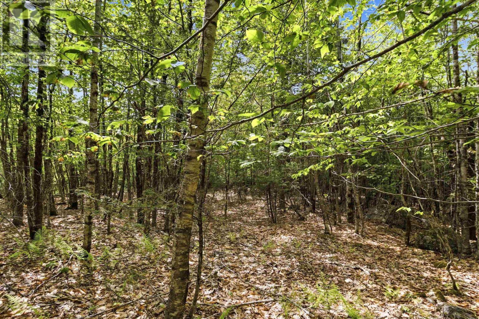 Property 24 of 50 of Lot 30 Maplesue Point Drive