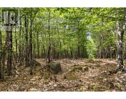 Lot 30 Maplesue Point Drive, Molega, NS B0T1X0 Photo 38