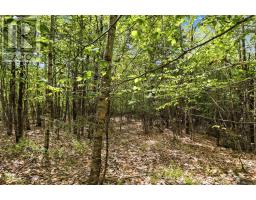 Lot 30 Maplesue Point Drive, Molega, NS B0T1X0 Photo 31