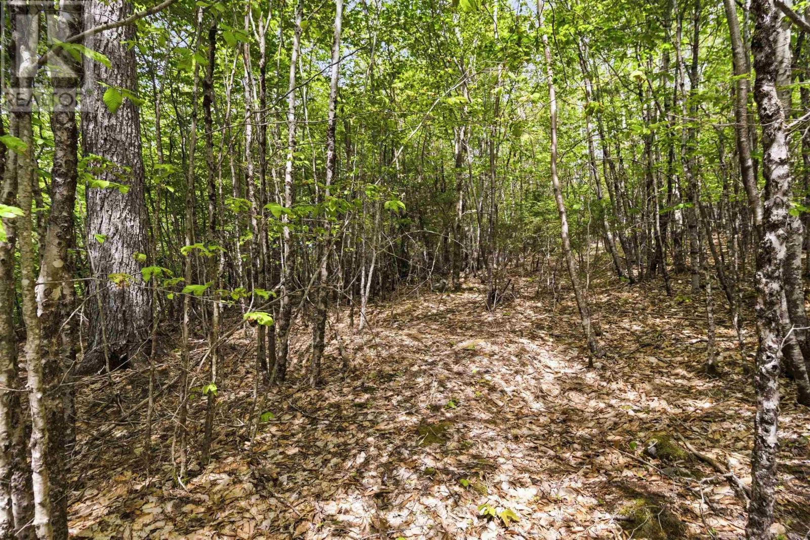Property 21 of 50 of Lot 30 Maplesue Point Drive