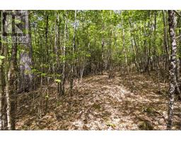 Lot 30 Maplesue Point Drive, Molega, NS B0T1X0 Photo 30