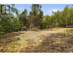 Lot 30 Maplesue Point Drive, Molega, NS B0T1X0 Photo 24