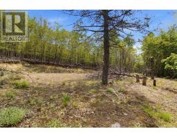 Lot 30 Maplesue Point Drive, Molega, NS B0T1X0 Photo 23