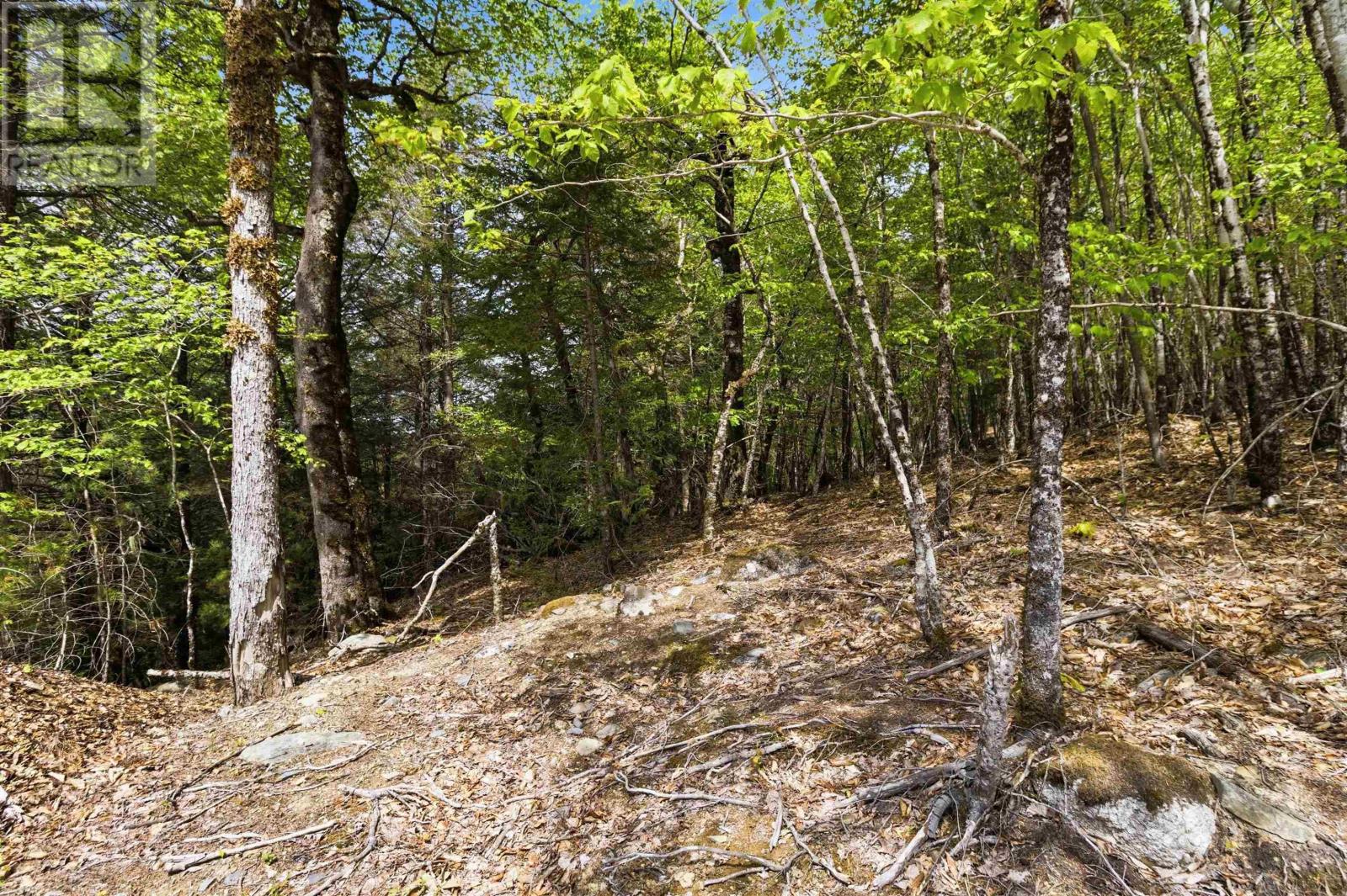 Property 28 of 50 of Lot 30 Maplesue Point Drive