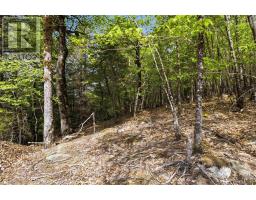 Lot 30 Maplesue Point Drive, Molega, NS B0T1X0 Photo 44