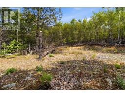 Lot 30 Maplesue Point Drive, Molega, NS B0T1X0 Photo 50