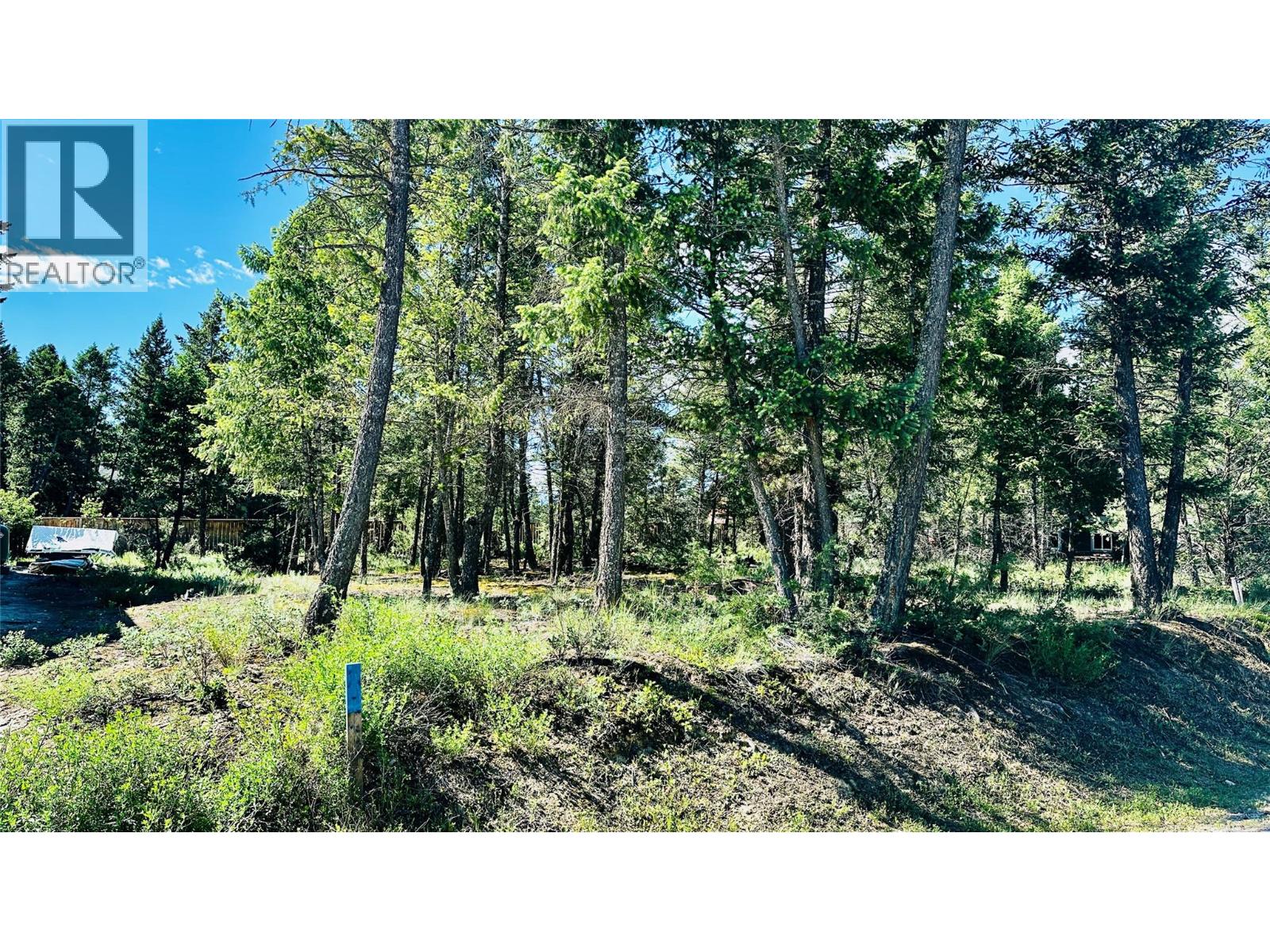 Lot 35 Copper Point Way, Windermere — photo 3