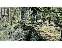 Lot 35 Copper Point Way, Windermere, BC V0B1L1 Photo 10