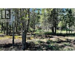 Lot 35 Copper Point Way, Windermere, BC V0B1L1 Photo 6