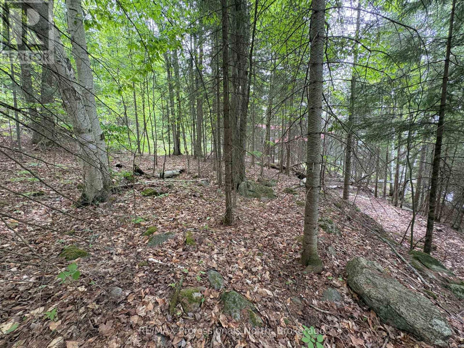 0 POVERTY BAY TRAIL
