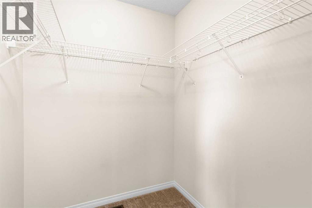 Bedroom #3 walk-in closet