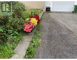 Bsmt - 112 Combermere Drive, Toronto, ON M3A2W8 Photo 16