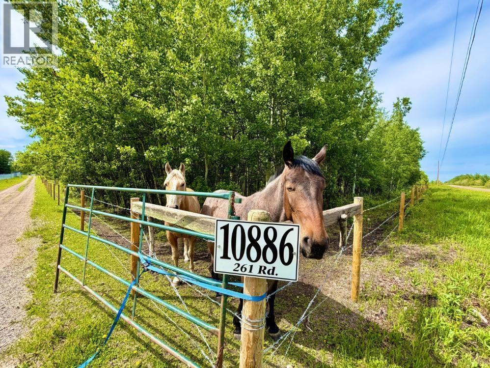 10886 261 ROAD - 27